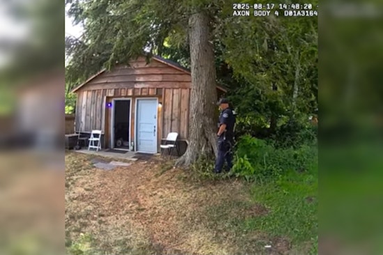 Pierce County Deputies Prevent Crisis, Rescue 55 Animals, and Investigate Fatal Collision