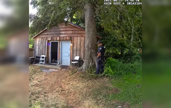 Pierce County Deputies Prevent Crisis, Rescue 55 Animals, and Investigate Fatal Collision