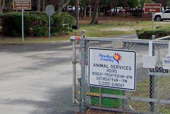 Pinellas County Animal Shelter Unveils Air-Conditioned Kennels and New Medical Hospital Following Renovations