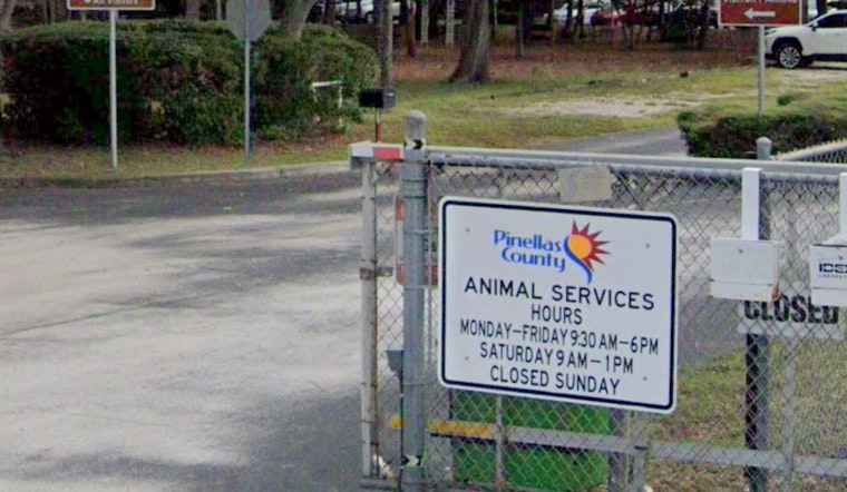 Pinellas County Animal Shelter Unveils Air-Conditioned Kennels and New Medical Hospital Following Renovations