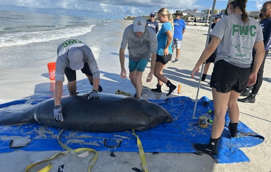 Pinellas County Sheriff's Deputies Rescue Stranded Manatee in Community Effort