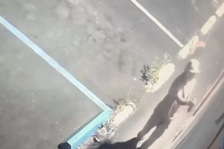 VIDEO: Pinole Police Appeal to Public for Help in Combating Rising Graffiti Vandalism Wave