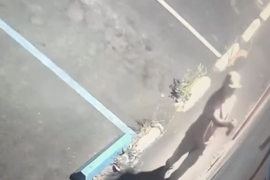 VIDEO: Pinole Police Appeal to Public for Help in Combating Rising Graffiti Vandalism Wave