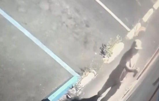 VIDEO: Pinole Police Appeal to Public for Help in Combating Rising Graffiti Vandalism Wave