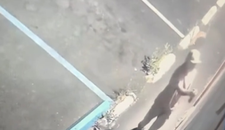 VIDEO: Pinole Police Appeal to Public for Help in Combating Rising Graffiti Vandalism Wave