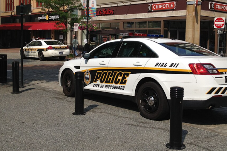 Pittsburgh Police Investigate Alarming Animal Cruelty Case in Northview Heights Neighborhood