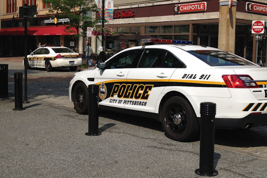 Pittsburgh Police Investigate Alarming Animal Cruelty Case in Northview Heights Neighborhood
