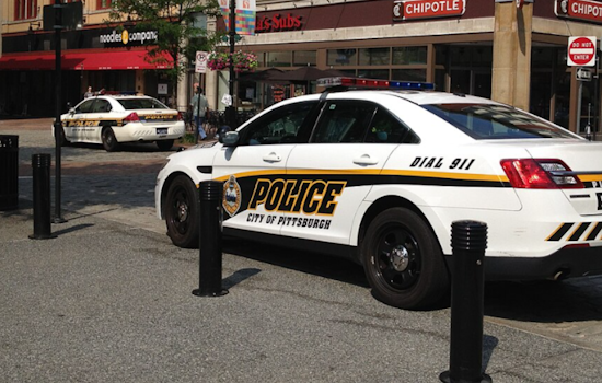 Pittsburgh Police Investigate Alarming Animal Cruelty Case in Northview Heights Neighborhood