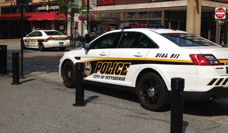 Pittsburgh Police Investigate Alarming Animal Cruelty Case in Northview Heights Neighborhood