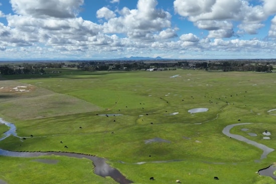 Placer County's Raccoon Creek Ranch Secured for Conservation in $61 Million Deal North of Lincoln