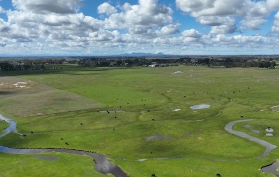 Placer County's Raccoon Creek Ranch Secured for Conservation in $61 Million Deal North of Lincoln