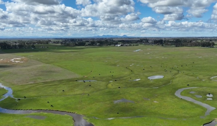 Placer County's Raccoon Creek Ranch Secured for Conservation in $61 Million Deal North of Lincoln
