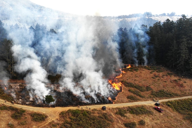 Planned Prescribed Burn Near Bon Tempe Lake on Mount Tamalpais Aims to Mitigate Wildfire Risks in Marin County