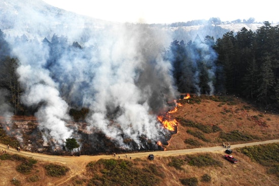 Planned Prescribed Burn Near Bon Tempe Lake on Mount Tamalpais Aims to Mitigate Wildfire Risks in Marin County