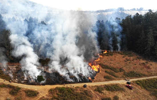 Planned Prescribed Burn Near Bon Tempe Lake on Mount Tamalpais Aims to Mitigate Wildfire Risks in Marin County