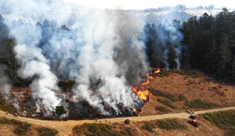 Planned Prescribed Burn Near Bon Tempe Lake on Mount Tamalpais Aims to Mitigate Wildfire Risks in Marin County