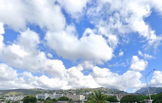Pleasant Weather Predicted for Honolulu with Light Trade Winds and Minor Shower Surge