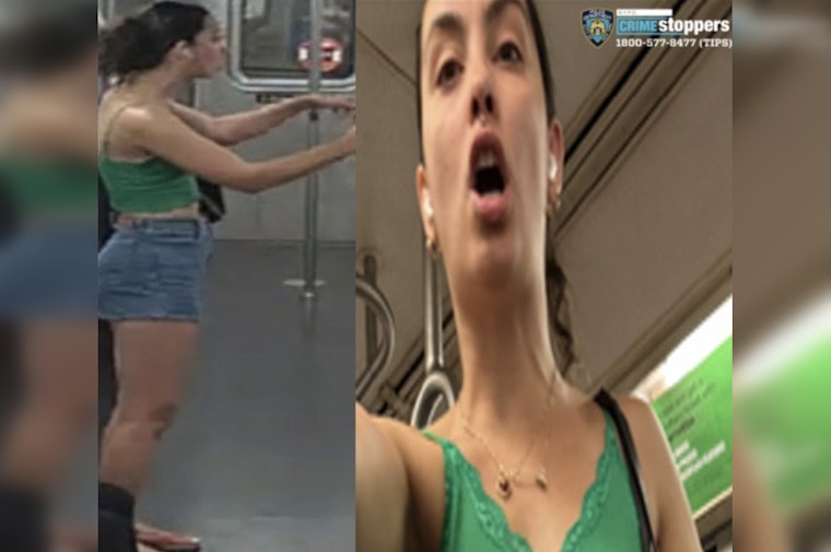 Police Seek Woman Suspected of Pepper Spraying Man on L Train in Queens