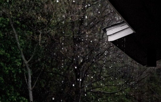 Portland Braces for Showers and Wind, Sunny Skies on the Horizon