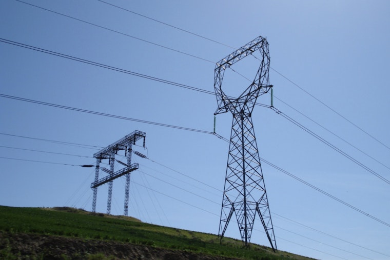 Power Outage Leaves Newberry, Michigan ‘Moose Capital’ in Darkness Amid Heatwave Concerns