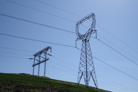 Power Outage Leaves Newberry, Michigan ‘Moose Capital’ in Darkness Amid Heatwave Concerns