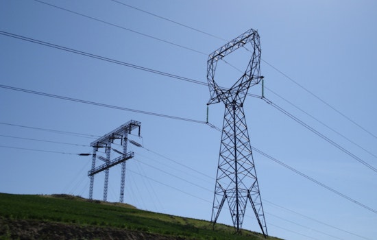 Power Outage Leaves Newberry, Michigan ‘Moose Capital’ in Darkness Amid Heatwave Concerns