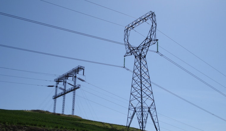 Power Outage Leaves Newberry, Michigan ‘Moose Capital’ in Darkness Amid Heatwave Concerns