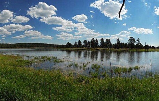 Progress in Dragon Bravo Fire Battle as Suppression Efforts Advance and Public Access Expands in Kaibab National Forest