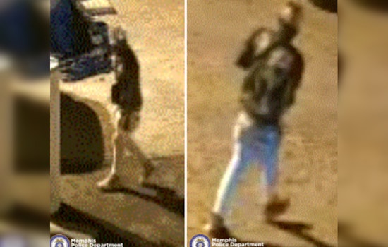 Puppies Stolen in Memphis Business Burglary as Police Seek Help Identifying Suspect