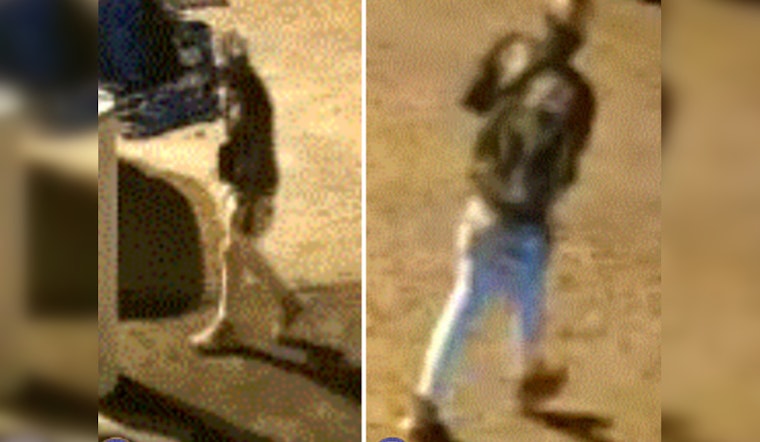 Puppies Stolen in Memphis Business Burglary as Police Seek Help Identifying Suspect