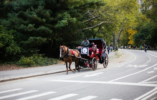 Queens Councilmember Holden Calls for Ban on NYC Horse-Drawn Carriages After Latest Equine Death in Hell's Kitchen