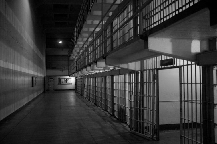 Raleigh Sex Offender Sentenced to 25 Years for Distributing Child Abuse Material