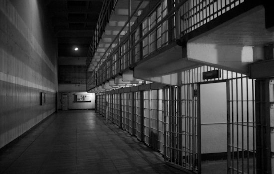 Raleigh Sex Offender Sentenced to 25 Years for Distributing Child Abuse Material