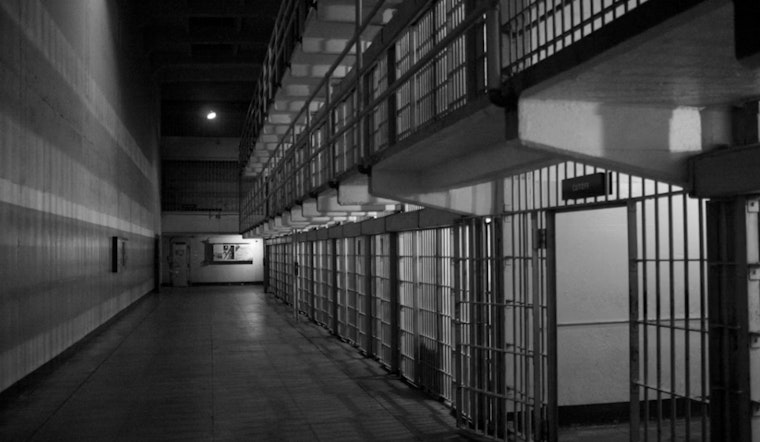 Raleigh Sex Offender Sentenced to 25 Years for Distributing Child Abuse Material