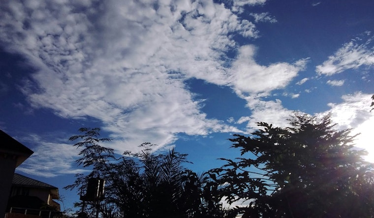 Raleigh Welcomes Sunny Skies and Mild Temperatures for the Coming Week