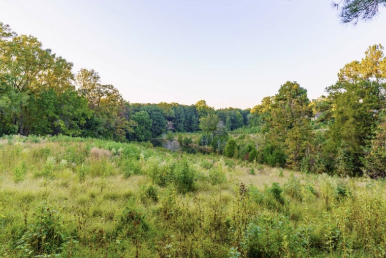 Raleigh's Annie Louise Wilkerson Nature Preserve Invites Creatives to Weave with Nature’s Gifts