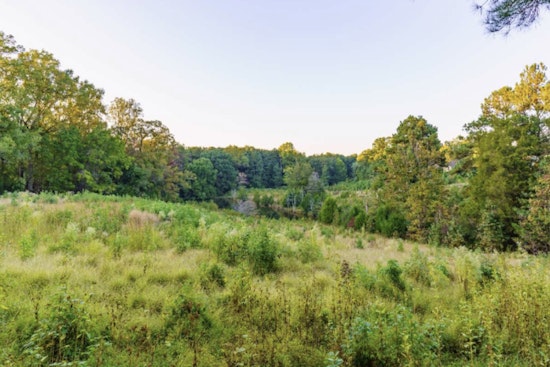 Raleigh's Annie Louise Wilkerson Nature Preserve Invites Creatives to Weave with Nature’s Gifts