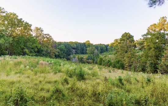 Raleigh's Annie Louise Wilkerson Nature Preserve Invites Creatives to Weave with Nature’s Gifts