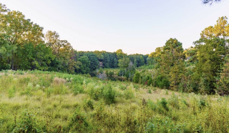 Raleigh's Annie Louise Wilkerson Nature Preserve Invites Creatives to Weave with Nature’s Gifts