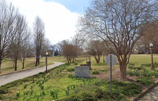 Raleigh's Dix Park Embarks on Tree Work for Essential Water Main Project, Pledges Repurposing Efforts
