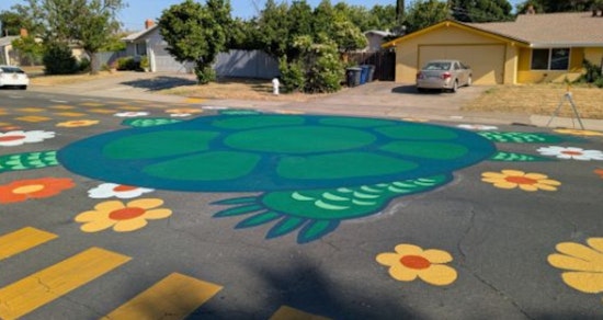 Rancho Cordova Transforms Streets into Public Art Gallery with Murals and Vibrant Utility Boxes