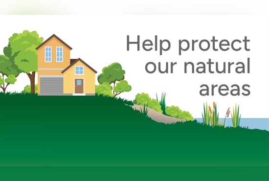 Renton to Refine Environmental Ordinances, Seeks Public Engagement for Green Space Protection