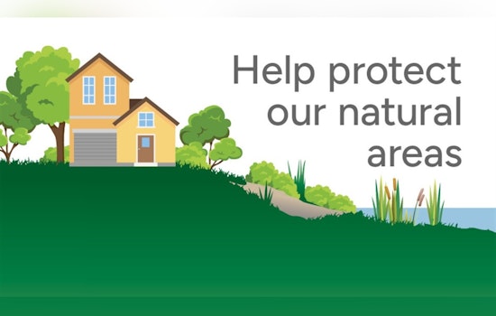 Renton to Refine Environmental Ordinances, Seeks Public Engagement for Green Space Protection