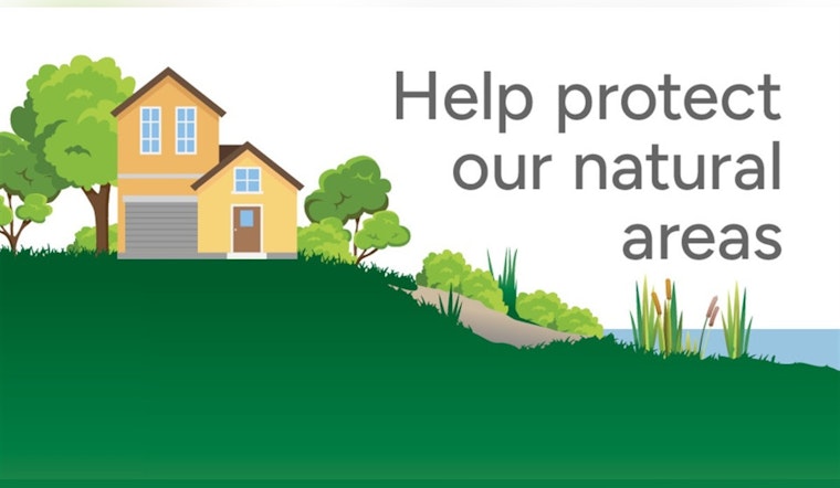 Renton to Refine Environmental Ordinances, Seeks Public Engagement for Green Space Protection