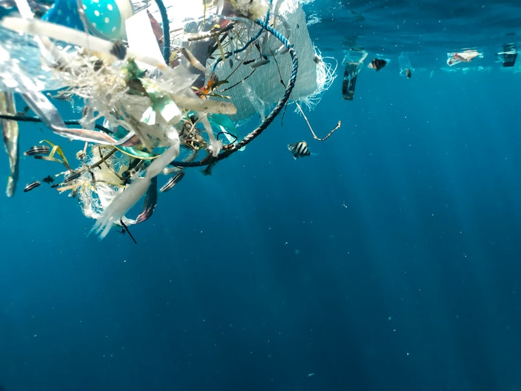 Richland-NYC Scientists Breakthrough Affordably Turns Plastic to Fuel as Trump Cuts Threaten Research