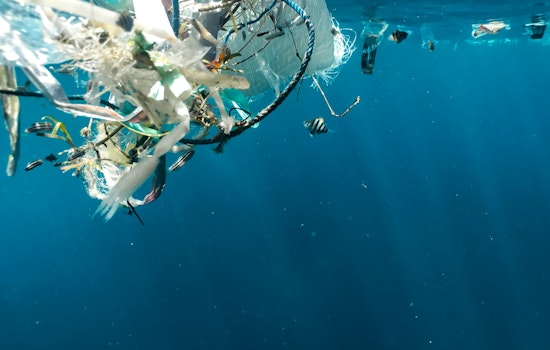 Richland-NYC Scientists Breakthrough Affordably Turns Plastic to Fuel as Trump Cuts Threaten Research