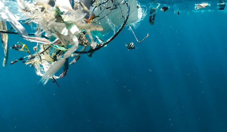 Richland-NYC Scientists Breakthrough Affordably Turns Plastic to Fuel as Trump Cuts Threaten Research