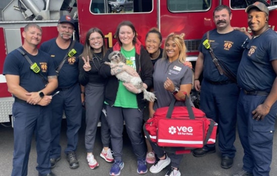 Roswell Firefighters and Alpharetta Veterinarians Team Up to Rescue Puppy with Paw Stuck in Bathtub Drain