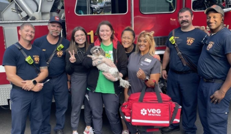 Roswell Firefighters and Alpharetta Veterinarians Team Up to Rescue Puppy with Paw Stuck in Bathtub Drain