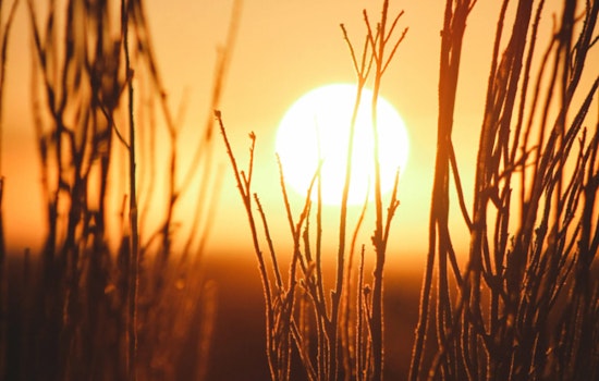 Sacramento Activates Cooling Centers in Response to Heat Advisory, Pets Welcome at OEC, Free Transit Available